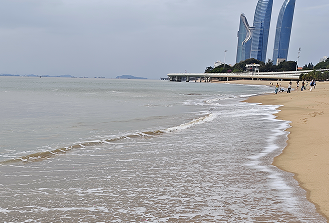 为什么有些人,宁愿当“小透明”?